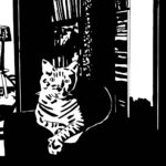 Chat