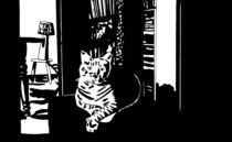 Chat